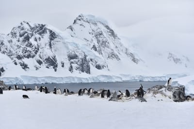 DSC_9542.JPG