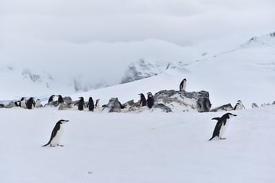 DSC_9543.JPG