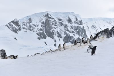 DSC_9544.JPG