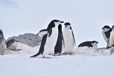 DSC_9545.JPG
