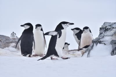 DSC_9546.JPG