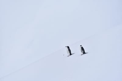 DSC_9552.JPG