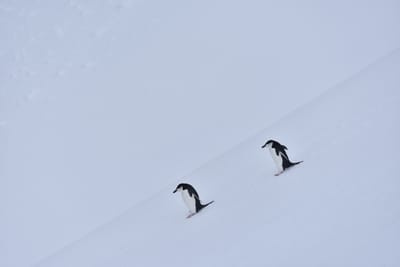 DSC_9554.JPG