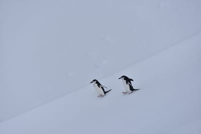 DSC_9555.JPG