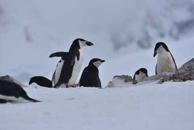 DSC_9557.JPG