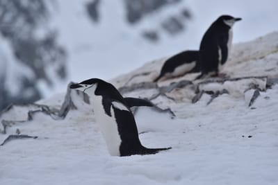 DSC_9558.JPG