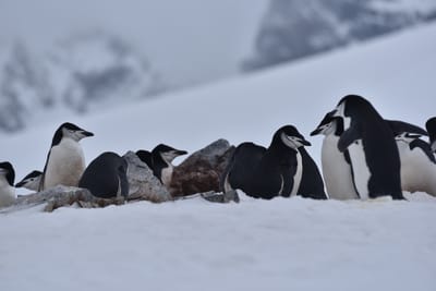 DSC_9559.JPG