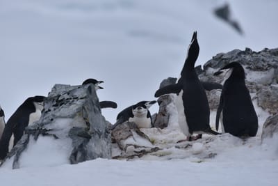 DSC_9560.JPG