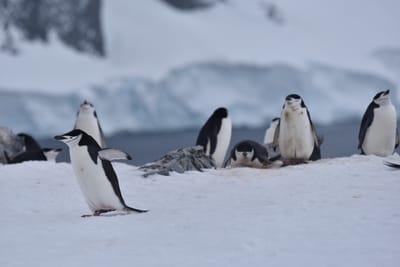 DSC_9561.JPG