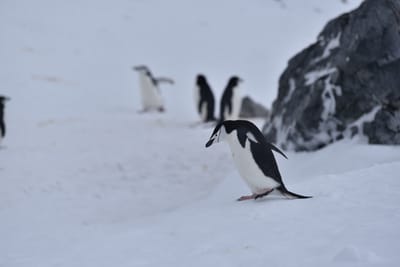 DSC_9562.JPG