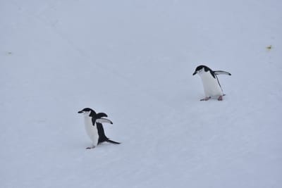 DSC_9563.JPG