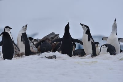 DSC_9565.JPG