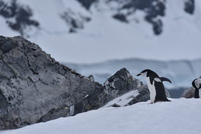 DSC_9567.JPG
