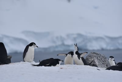 DSC_9569.JPG