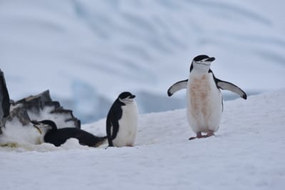 DSC_9570.JPG