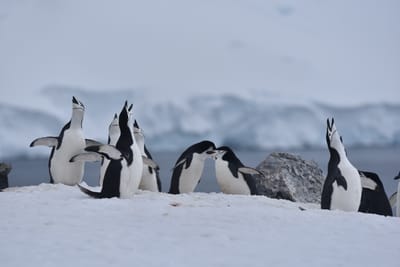 DSC_9571.JPG