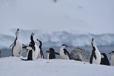 DSC_9572.JPG