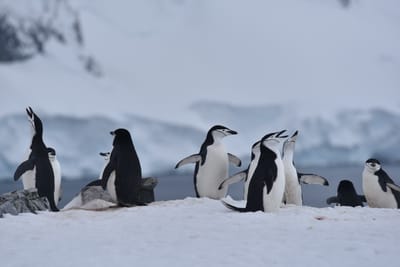 DSC_9573.JPG