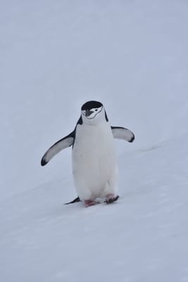 DSC_9574.JPG