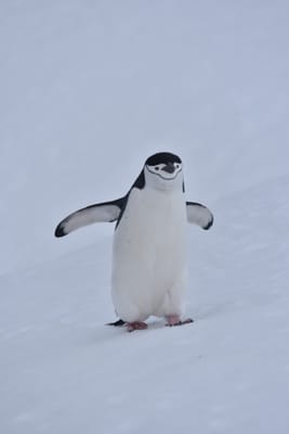 DSC_9575.JPG
