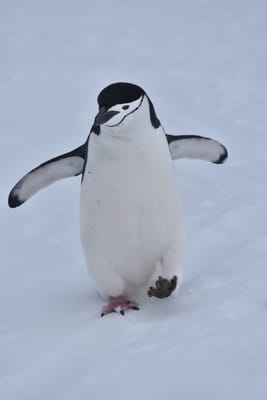 DSC_9576.JPG