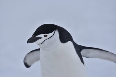 DSC_9577.JPG