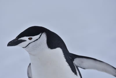 DSC_9578.JPG