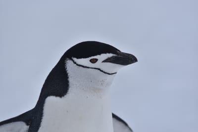 DSC_9579.JPG