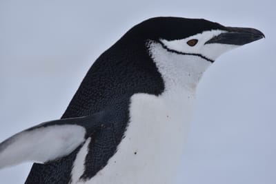 DSC_9580.JPG