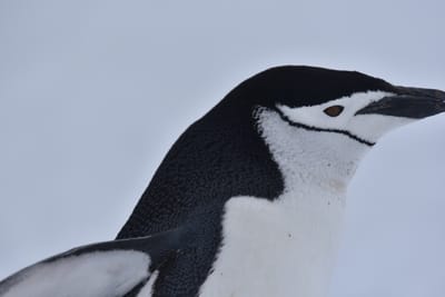 DSC_9581.JPG