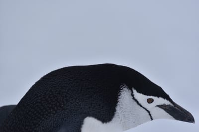DSC_9582.JPG