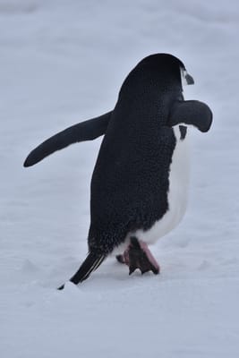DSC_9583.JPG