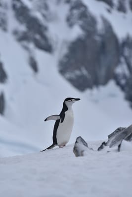 DSC_9584.JPG