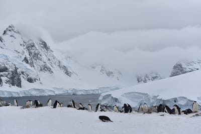 DSC_9585.JPG