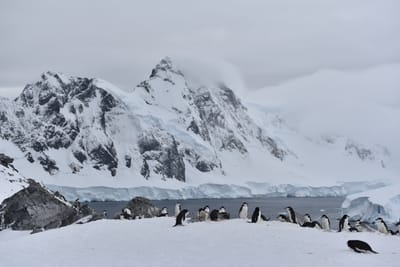 DSC_9586.JPG