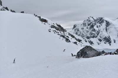 DSC_9597.JPG