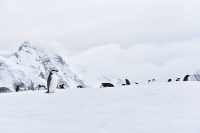 DSC_9603.JPG