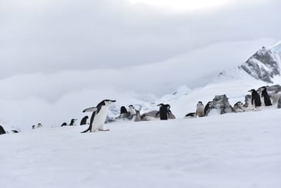 DSC_9604.JPG