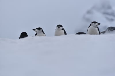 DSC_9606.JPG