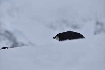 DSC_9607.JPG