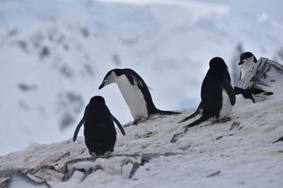 DSC_9608.JPG