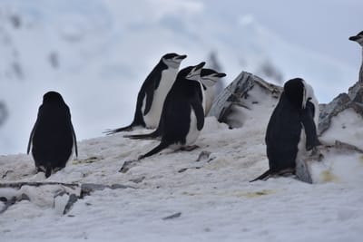 DSC_9609.JPG