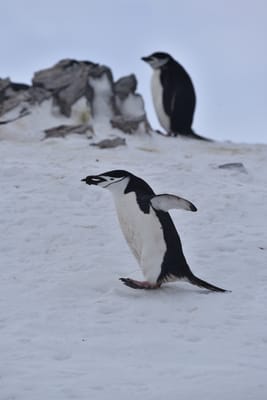 DSC_9611.JPG