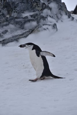 DSC_9612.JPG
