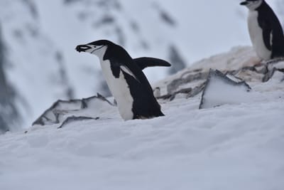DSC_9613.JPG