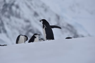 DSC_9614.JPG