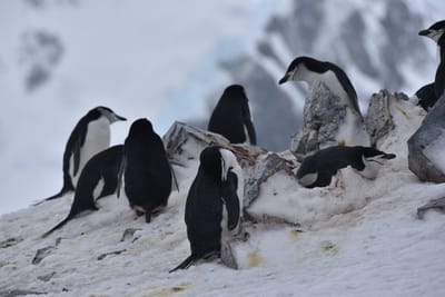 DSC_9615.JPG