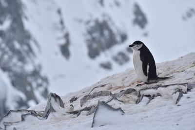 DSC_9616.JPG