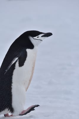 DSC_9617.JPG