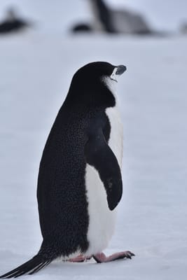 DSC_9618.JPG